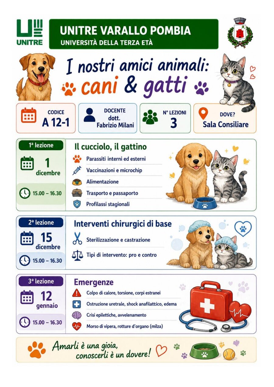 Scheda corso I nostri amici animali: cani & gatti